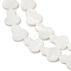 Natural Freshwater Shell Beads Strands SHEL-K010-02C-3