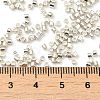 Electroplate Glass Seed Beads SEED-S042-01B-08-4