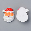 Resin Cabochons RESI-R429-28-2