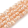 Natural Cultured Freshwater Pearl Beads Strands PEAR-A006-02D-X-2