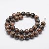 Natural Glaucophane Beads Strands G-K209-04A-12mm-2