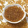 Transparent Colours Glass Seed Beads SEED-P006-02A-15-2