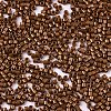 FGB 11/0 Grade A Baking Paint Glass Seed Beads X-SEED-S030-1031-2