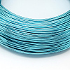 Round Aluminum Wire AW-S001-6.0mm-02-2