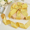 Polyester Ribbons for Sewing Decoration OCOR-WH20007-245B-3