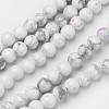 Natural Howlite Beads Strands G-D809-10-6mm-1