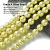 Eco-Friendly Glass Pearl Beads Strands HY-A008-14mm-RB012-3