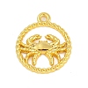 Twelve Constellations Alloy Pendants PALLOY-Q006-01A-G-1