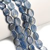 Natural Kyanite Beads Strands G-H335-D01-8x10mm-1
