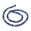 Natural Sodalite Beads Strands G-E569-D07-2