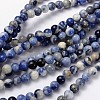 Natural Sodalite Beads Strand GSR10mmC013-1