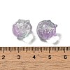 Transparent Glass Beads GLAA-D025-05I-3