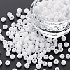 6/0 Glass Seed Beads SEED-T005-14-B16-1