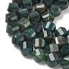 Natural Moss Agate Beads Strands G-C267-B23-4