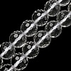 Natural Quartz Crystal Beads Strands G-C079-B06-03-1
