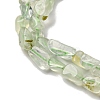 Natural Prehnite Beads Strands G-I389-A19-4