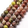 Natural Plum Blossom Jasper Beads Strands G-A163-02-6mm-1