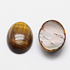 Oval Natural Tiger Eye Cabochons G-K020-18x13mm-04-2