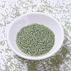 MIYUKI Delica Beads SEED-JP0008-DB2052-2