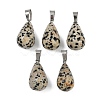 Natural Dalmatian Jasper Pendants G-S364-072P-02-1