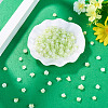 200Pcs Flower & Butterfly Resin Cabochons CRES-TA0001-89B-5