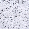 MIYUKI Round Rocailles Beads X-SEED-G007-RR0471-3