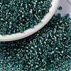 MIYUKI Round Rocailles Beads X-SEED-G008-RR3741-1