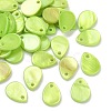 Spray Painted Natural Freshwater Shell Teardrop Charms SHEL-K006-47A-1