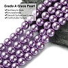 Eco-Friendly Dyed Glass Pearl Round Beads Strands HY-A002-12mm-RB056-3
