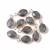 Natural Labradorite Pendants G-S359-014A-1