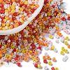 Baking Paint Glass Seed Beads X-SEED-S042-05A-07-1