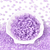 600Pcs Glass Seed Beads SEED-PA0001-17B-4