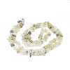 Natural Gold Rutilated Quartz Chip Bead Strands X-G-M205-18-2