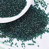 MIYUKI Delica Beads X-SEED-J020-DB0275-1