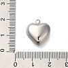 Anti-Tarnish 304 Stainless Steel Pendants STAS-H225-02A-P-3