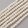 Natural Cultured Freshwater Pearl Beads Strands PEAR-G007-33-01-1