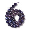 Natural Galaxy Tiger Eye Beads Strands G-P455-01D-4