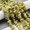 Natural Lemon Jade Chip Bead Strands G-M205-22-1
