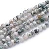 Natural Tree Agate Bead Strands G-R411-25-4mm-1