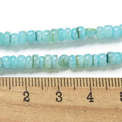 Dyed Natural Freshwater Shell Beads Strands BSHE-G039-07C-1