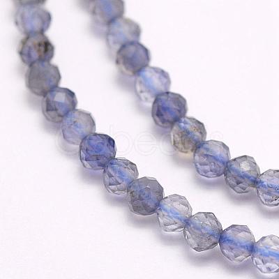 Natural Cordierite/Iolite/Dichroite Beads Strands G-F509-15-3mm-1
