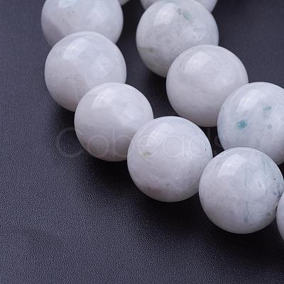 Natural Rainbow Moonstone Bead Strands G-G970-37-12mm-1