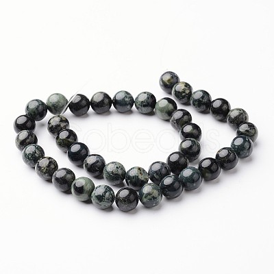 Round Natural Kambaba Jasper Bead Strands G-J346-29-10mm-1