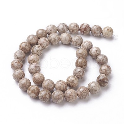 Natural Fossil Coral Beads Strands G-F563-02-8mm-1