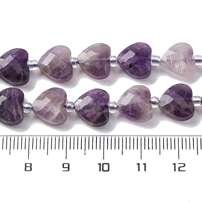 Natural Amethyst Beads Strands G-P570-E17-01-1