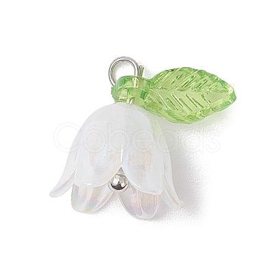 5Pcs Transparent Acrylic Pendants PALLOY-JF04703-02-1