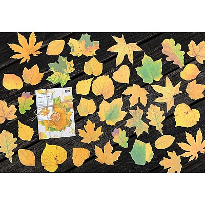 50Pcs Maple Leaf Theme Paper Stickers STIC-P017-C02-1