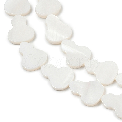 Natural Freshwater Shell Beads Strands SHEL-K010-02C-1