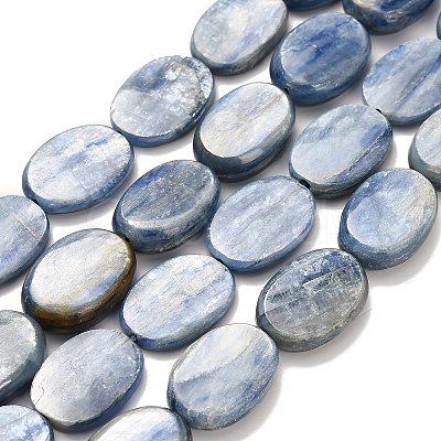 Natural Kyanite Beads Strands G-H335-D01-13x18mm-1