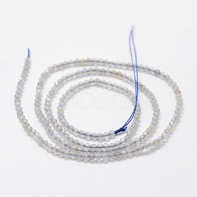 Natural Labradorite Beads Strands G-K185-10-1